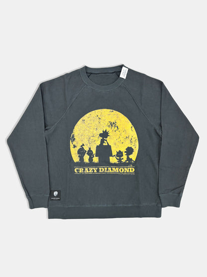 【NEW】MOONLIGHT PEANUTS RAGLAN SWEAT 2627AW-SW-004
