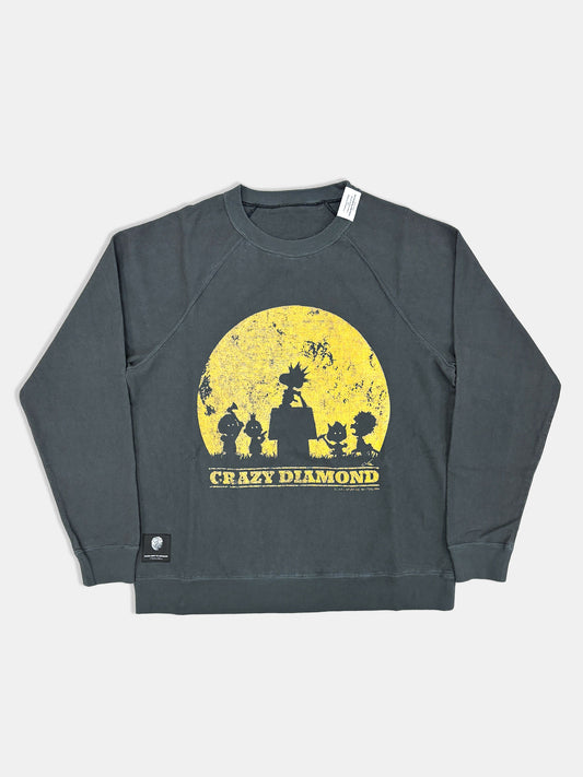 【NEW】MOONLIGHT PEANUTS RAGLAN SWEAT 2627AW-SW-004